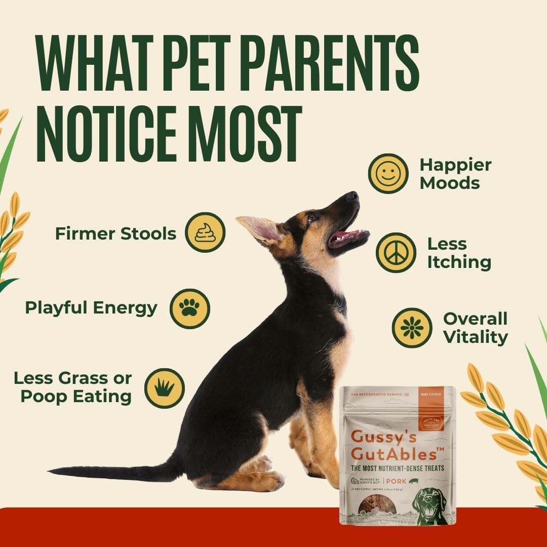 Al-Tammar Deal 5 - Premium Mix Pack