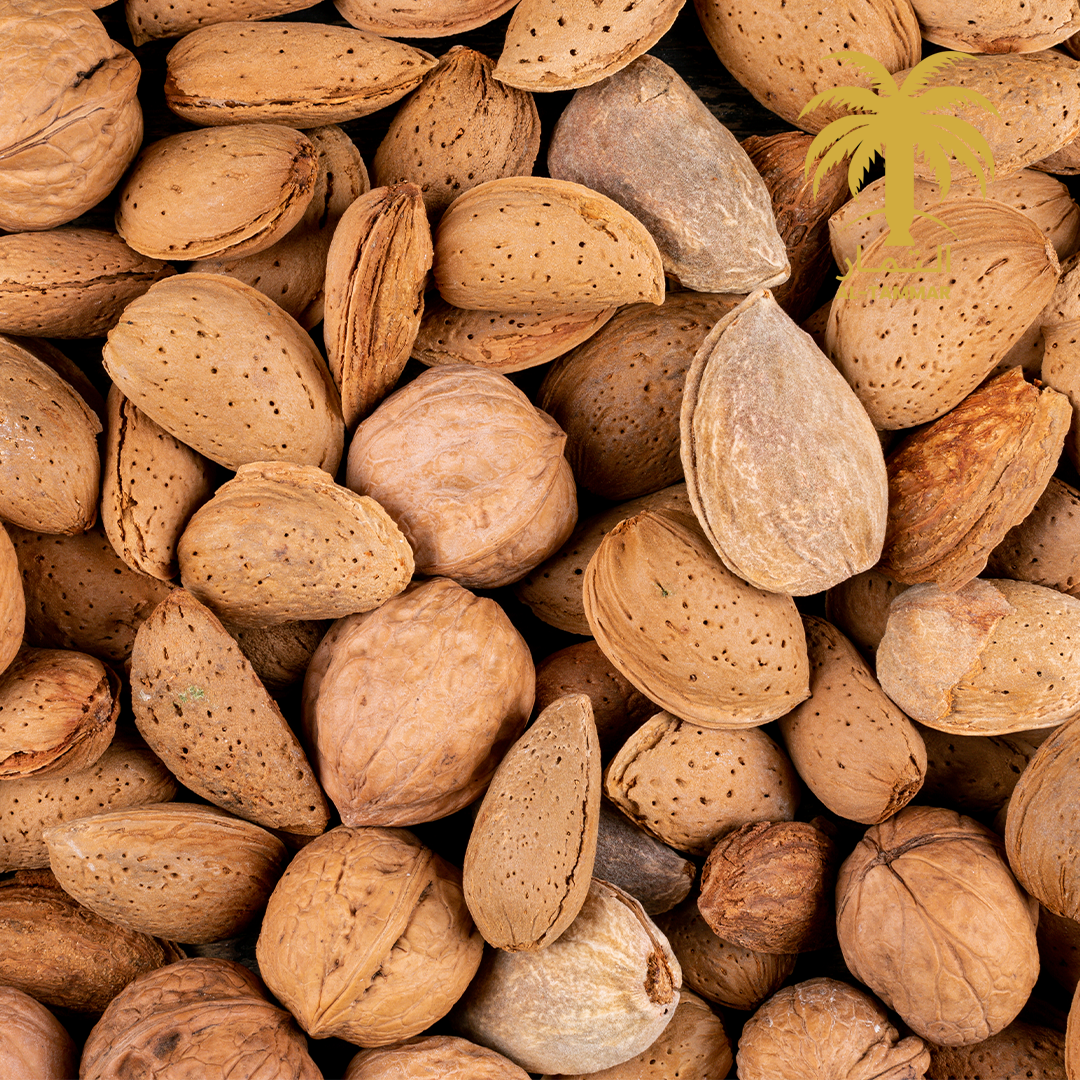 Al-Tammar Almond in Shell – Fresh, Healthy & Natural