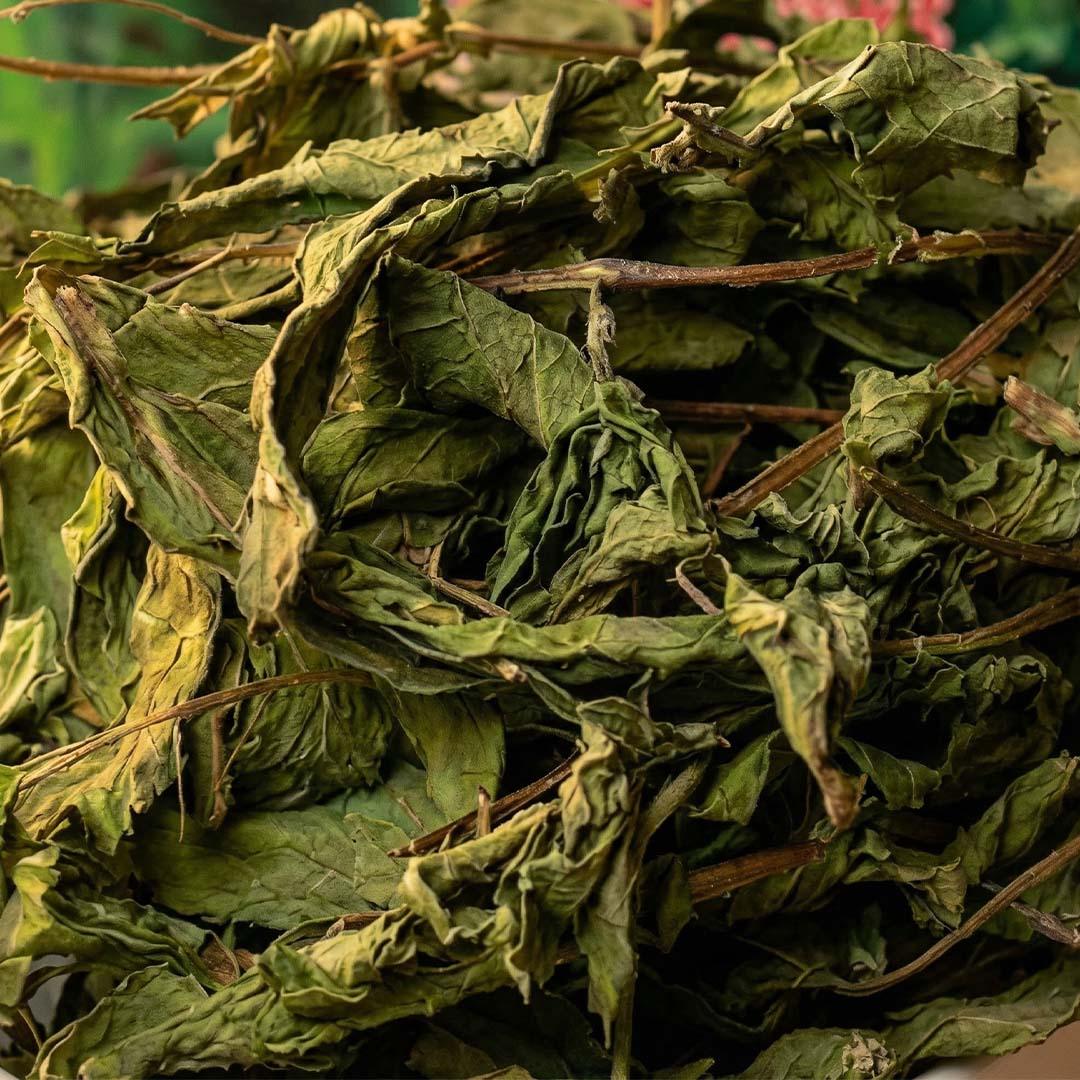 ARABIC MINT - AL-TAMMAR