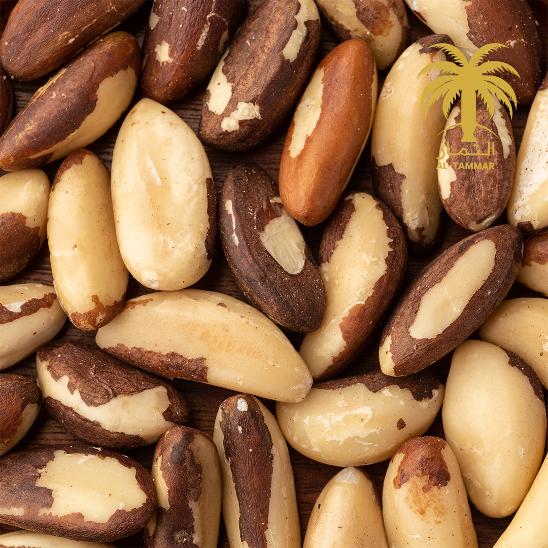 Al-Tammar Brazil Nuts – Premium Quality Dry Fruit