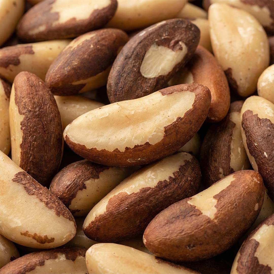 Al-Tammar Brazil Nuts – Premium Quality Dry Fruit