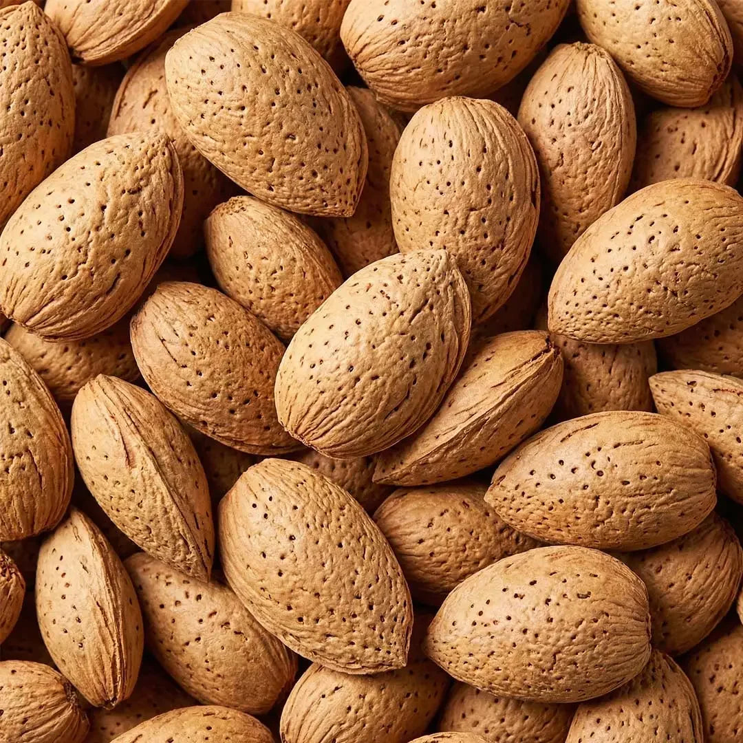 ALMOND IN SHELL - AL-TAMMAR