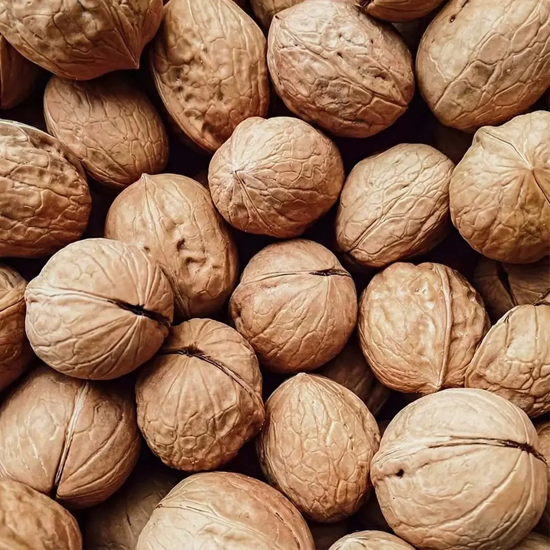 WALNUT - AL-TAMMAR