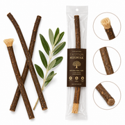 Natural Zaitoon Miswak – Olive Wood Tooth Cleaning Stick